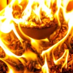 Premium pellets 15 kg Gecertificeerd mengsel van hardhout en naaldhout - Afbeelding 5